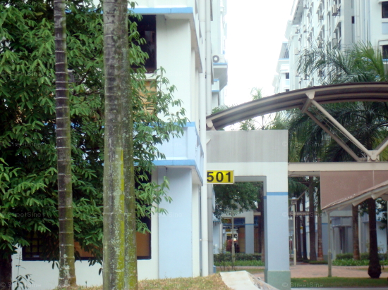 Blk 501 Woodlands Drive 14 (Woodlands), HDB 5 Rooms #355692